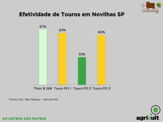 iLP SISTEMA SÃO MATEUS
Efetividade de Touros em Novilhas SP
Fonte: Faz. São Mateus – Selvíria MS
67%
63%
33%
60%
Thon B 268 Touro PO 1 Touro PO 2 Touro PO 3
 