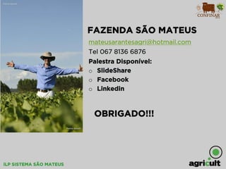 iLP SISTEMA SÃO MATEUS
FAZENDA SÃO MATEUS
mateusarantesagri@hotmail.com
Tel 067 8136 6876
Palestra Disponível:
o  SlideShare
o  Facebook
o  Linkedin
OBRIGADO!!!
 