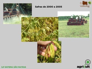 iLP SISTEMA SÃO MATEUS
Safras de 2000 a 2005
 