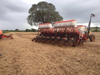 iLP SISTEMA SÃO MATEUS
 