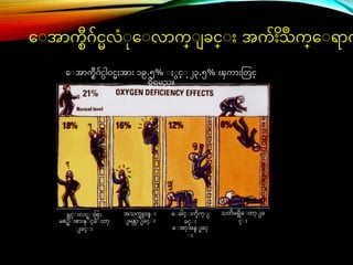 ေ အာကစဂ်င္လံ ေ လာက္ ခင္္ ်ား အက် ိ ဳ
်ားသက္ေ ရာက
ရင္္ ်ားလင္္ ်ားခစာ
မစဥ္ ်ားစာ်ားန္ ိင္္ေ တာ
ခင္္ ်ား
အသကြူႏႈန္ ်ား
မန္လာ ခင္္ ်ား
ေ ခါင္္ ်ားကိက္
ခင္္ ်ား
ေ အာအန္ ခင္္
်ား
သတိမရိေ တာ ခ
င္္ ်ား
ေ အာကစဂ်င္္ါဝင္ႈအာ်ား ၁၉.၅% ႏ င္္ ၂၃.၅% ၾကာ်ားတတင္္
ရိရမည္။
 