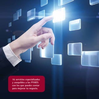 Misión
 Aportar soluciones globales de mejora que ayu-
 den a la alta dirección de la PYME a la creación
 de valor, a través de una consultoría integral
 prestada por un equipo de consultores multidis-
 ciplinar y especializado con valiosa experiencia en
 la gestión de empresas y amplios conocimientos.




16 servicios especializados
y asequibles a las PYMES
con los que puedes contar
para mejorar tu negocio.
 