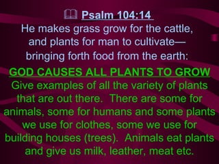    Psalm 104:14  He makes grass grow for the cattle,  and plants for man to cultivate—  bringing forth food from the earth:   GOD CAUSES ALL PLANTS TO GROW   Give examples of all the variety of plants that are out there.  There are some for animals, some for humans and some plants we use for clothes, some we use for building houses (trees).  Animals eat plants and give us milk, leather, meat etc. 