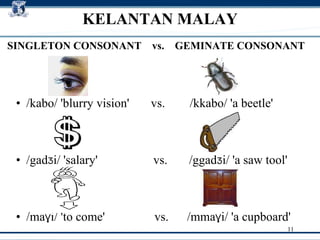 /kabo/ 'blurry vision'  vs.  /kkabo/ 'a beetle' /gad Ʒ i/ 'salary'  vs.  /ggad Ʒ i/ 'a saw tool'  /ma Ɣ i/ 'to come'  vs.  /mma Ɣ i/ 'a cupboard' KELANTAN MALAY SINGLETON CONSONANT  vs.  GEMINATE CONSONANT 