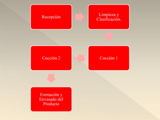 Limpieza y
 Recepción
               Clasificación.




 Cocción 2      Cocción 1




Formación y
Envasado del
 Producto
 