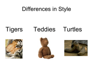 Differences in Style Tigers Teddies  Turtles 