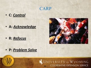 Which method do you tend to use with peers?AvoidanceAccommodatingWin/LoseCompromisingProblem Solving