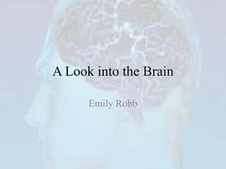 A Look into the Brain

      Emily Robb
 