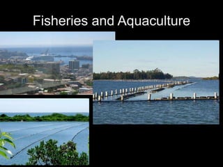 Fisheries and Aquaculture
 