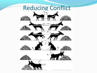 Reducing Conflict 
 