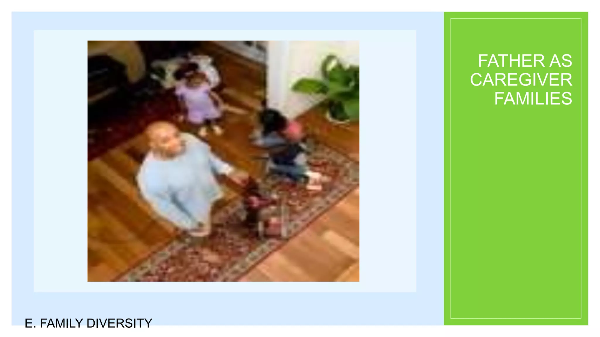 FATHER AS
CAREGIVER
FAMILIES
E. FAMILY DIVERSITY
 