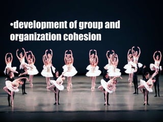 development of group and organization cohesion 