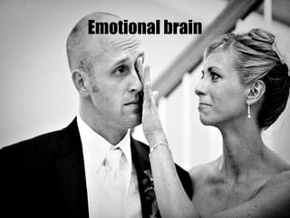 Emotional brain 