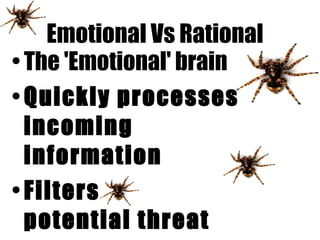 Emotional Vs Rational The 'Emotional' brain Quickly processes incoming information  Filters for potential threat   Triggers fight or flight 