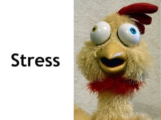 Stress
 