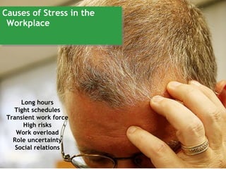 Causes of Stress in the
Causes of Stress in the
 Workplace
 Workplace




      Long hours
   Tight schedules
 Transient work force
       High risks
    Work overload
   Role uncertainty
    Social relations
 