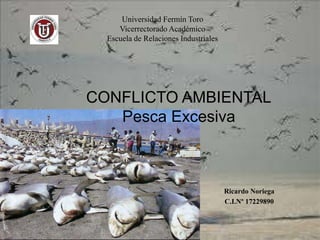 CONFLICTO AMBIENTAL
Pesca Excesiva
Ricardo Noriega
C.I.Nº 17229890
Universidad Fermín Toro
Vicerrectorado Académico
Escuela de Relaciones Industriales
 