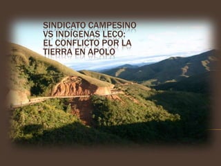 Sindicato Campesinovs Indígenas Leco: el Conflicto por la Tierra en Apolo 