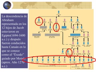 La descendencia de Abraham representada en los 12 hijos de Jacob estuvieron en Egipto(1694-1600 a.c.) y después fueron conducidos hasta Canaán en lo que se conoce como el “Éxodo” guiado por Moisés (aprox. Año 1270 a.c.) 