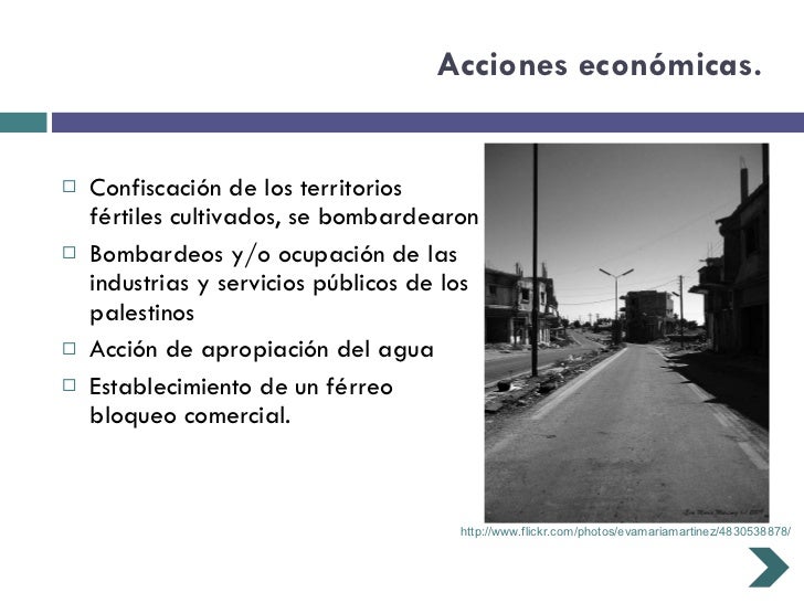 Conflicto árabe israelí