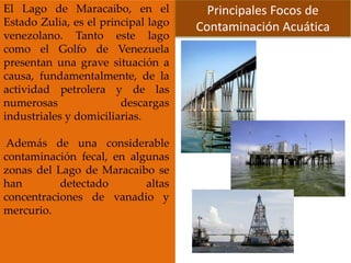 El Lago de Maracaibo, en el
Estado Zulia, es el principal lago
venezolano. Tanto este lago
como el Golfo de Venezuela
presentan una grave situación a
causa, fundamentalmente, de la
actividad petrolera y de las
numerosas descargas
industriales y domiciliarias.
Además de una considerable
contaminación fecal, en algunas
zonas del Lago de Maracaibo se
han detectado altas
concentraciones de vanadio y
mercurio.
Principales Focos de
Contaminación Acuática
 