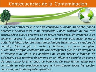 Consecuencias de la Contaminacion
El impacto ambiental que se está causando al medio ambiente, podría
parecer a primera vista como exagerado y poco probable de que esté
sucediendo o que se presente en un futuro inmediato. Sin embargo, si se
toma en cuenta la cantidad de agua que se usa para lavar la ropa,
quitarle el jabón a los utensilios de cocina que tienen grasa y residuos de
comida, dejar limpio el coche y bañarse; se puede imaginar
el volumen de agua contaminada con detergentes que se está arrojando
al drenaje y de ahí a los depósitos de aguas negras y lagunas de
oxidación, para terminar finalmente en un efluente natural o un cuerpo
de agua como lo es el Lago de Valencia. De esta forma, lenta pero
constante se está ayudando a que se intensifiquen todos los efectos
causados por los detergentes químicos.
 