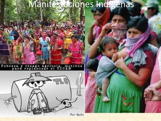 Manifestaciones Indígenas
 