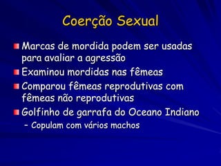 Coerção Sexual
Marcas de mordida podem ser usadas
para avaliar a agressão
Examinou mordidas nas fêmeas
Comparou fêmeas reprodutivas com
fêmeas não reprodutivas
Golfinho de garrafa do Oceano Indiano
– Copulam com vários machos
 