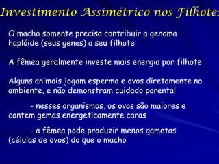 Investimento Assimétrico nos Filhotes
 O macho somente precisa contribuir a genoma
 haplóide (seus genes) a seu filhote

 A fêmea geralmente investe mais energia por filhote

 Alguns animais jogam esperma e ovos diretamente no
 ambiente, e não demonstram cuidado parental
      - nesses organismos, os ovos são maiores e
 contem gemas energeticamente caras
        - a fêmea pode produzir menos gametas
 (células de ovos) do que o macho
 