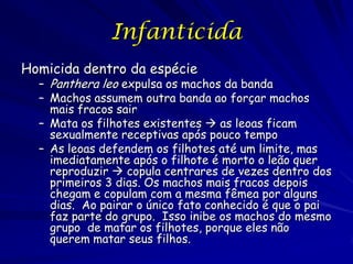 Infanticida
Homicida dentro da espécie
  – Panthera leo expulsa os machos da banda
  – Machos assumem outra banda ao forçar machos
    mais fracos sair
  – Mata os filhotes existentes  as leoas ficam
    sexualmente receptivas após pouco tempo
  – As leoas defendem os filhotes até um limite, mas
    imediatamente após o filhote é morto o leão quer
    reproduzir  copula centrares de vezes dentro dos
    primeiros 3 dias. Os machos mais fracos depois
    chegam e copulam com a mesma fêmea por alguns
    dias. Ao pairar o único fato conhecido é que o pai
    faz parte do grupo. Isso inibe os machos do mesmo
    grupo de matar os filhotes, porque eles não
    querem matar seus filhos.
 