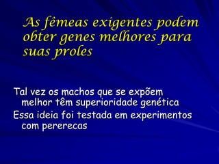 As fêmeas exigentes podem
 obter genes melhores para
 suas proles


Tal vez os machos que se expõem
 melhor têm superioridade genética
Essa ideia foi testada em experimentos
 com pererecas
 