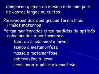 Comparou girinos da mesma mãe com pais
 de cantos longos ou curtos
Perereques dos dois grupos foram meio
  irmãos maternos
Foram monitoradas cinco medidas de aptidão
  relacionadas a performance
     taxa de crescimento larval
     tempo a metamorfose
     massa a metamorfose
     sobrevivência larval
     crescimento pós-metamorfose
 