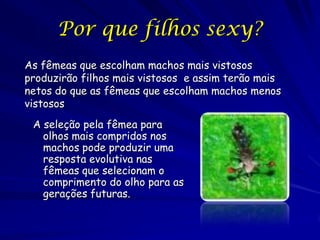 Por que filhos sexy?
As fêmeas que escolham machos mais vistosos
produzirão filhos mais vistosos e assim terão mais
netos do que as fêmeas que escolham machos menos
vistosos
 A seleção pela fêmea para
   olhos mais compridos nos
   machos pode produzir uma
   resposta evolutiva nas
   fêmeas que selecionam o
   comprimento do olho para as
   gerações futuras.
 