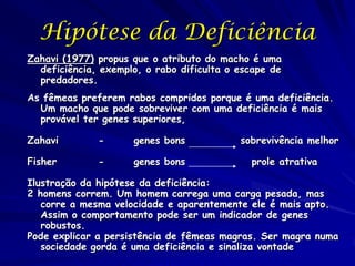 Hipótese da Deficiência
Zahavi (1977) propus que o atributo do macho é uma
  deficiência, exemplo, o rabo dificulta o escape de
  predadores.
As fêmeas preferem rabos compridos porque é uma deficiência.
  Um macho que pode sobreviver com uma deficiência é mais
  provável ter genes superiores,

Zahavi        -      genes bons            sobrevivência melhor

Fisher        -      genes bons              prole atrativa

Ilustração da hipótese da deficiência:
2 homens correm. Um homem carrega uma carga pesada, mas
   corre a mesma velocidade e aparentemente ele é mais apto.
   Assim o comportamento pode ser um indicador de genes
   robustos.
Pode explicar a persistência de fêmeas magras. Ser magra numa
   sociedade gorda é uma deficiência e sinaliza vontade
 