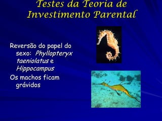 Testes da Teoria de
     Investimento Parental


Reversão do papel do
  sexo: Phyllopteryx
  taeniolatus e
 Hippocampus
Os machos ficam
 grávidos
 