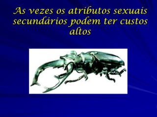 As vezes os atributos sexuais
secundários podem ter custos
            altos
 