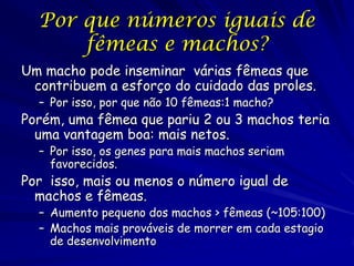 Por que números iguais de
      fêmeas e machos?
Um macho pode inseminar várias fêmeas que
 contribuem a esforço do cuidado das proles.
  – Por isso, por que não 10 fêmeas:1 macho?
Porém, uma fêmea que pariu 2 ou 3 machos teria
  uma vantagem boa: mais netos.
  – Por isso, os genes para mais machos seriam
    favorecidos.
Por isso, mais ou menos o número igual de
  machos e fêmeas.
  – Aumento pequeno dos machos > fêmeas (~105:100)
  – Machos mais prováveis de morrer em cada estagio
    de desenvolvimento
 