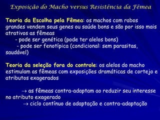 Exposição do Macho versus Resistência da Fêmea

Teoria da Escolha pela Fêmea: os machos com rabos
grandes vendem seus genes ou saúde bons e são por isso mais
atrativos as fêmeas
    - pode ser genética (pode ter alelos bons)
     - pode ser fenotípica (condicional: sem parasitas,
saudável)

Teoria da seleção fora do controle: os alelos do macho
estimulam as fêmeas com exposições dramáticas de cortejo e
atributos exagerados

        as fêmeas contra-adaptam ao reduzir seu interesse
no atributo exagerado
        ciclo contínuo de adaptação e contra-adaptação
 