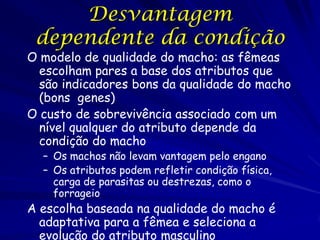 Desvantagem
 dependente da condição
O modelo de qualidade do macho: as fêmeas
  escolham pares a base dos atributos que
  são indicadores bons da qualidade do macho
  (bons genes)
O custo de sobrevivência associado com um
  nível qualquer do atributo depende da
  condição do macho
  – Os machos não levam vantagem pelo engano
  – Os atributos podem refletir condição física,
    carga de parasitas ou destrezas, como o
    forrageio
A escolha baseada na qualidade do macho é
  adaptativa para a fêmea e seleciona a
  evolução do atributo masculino
 