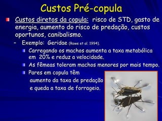 Custos Pré-copula
Custos diretos da copula: risco de STD, gasto de
energia, aumento do risco de predação, custos
oportunos, canibalismo.
–   Exemplo: Geridae (Rowe et al. 1994).
      Carregando os machos aumenta a taxa metabólica
      em 20% e reduz a velocidade.
      As fêmeas toleram machos menores por mais tempo.
      Pares em copula têm
      aumento da taxa de predação
      e queda a taxa de forrageio.
 