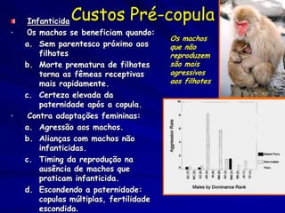 InfanticidaCustos Pré-copula
•    0s machos se beneficiam quando:
                                         Os machos
    a. Sem parentesco próximo aos        que não
        filhotes                         reproduzem
    b. Morte prematura de filhotes       são mais
        torna as fêmeas receptivas       agressivos
        mais rapidamente.                aos filhotes
    c. Certeza elevada da
        paternidade após a copula.
•    Contra adaptações femininas:
    a. Agressão aos machos.
    b. Alianças com machos não
        infanticidas.
    c. Timing da reprodução na
        ausência de machos que
        praticam infanticida.
    d. Escondendo a paternidade:
        copulas múltiplas, fertilidade
        escondida.
 
