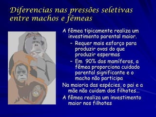 Diferencias nas pressões seletivas
entre machos e fêmeas
              A fêmea tipicamente realiza um
                investimento parental maior.
                 – Requer mais esforço para
                   produzir ovos do que
                   produzir espermas
                 – Em 90% dos mamíferos, a
                   fêmea proporciona cuidado
                   parental significante e o
                   macho não participa
              Na maioria das espécies, o pai e a
                mãe não cuidam dos filhotes…
              A fêmea realiza um investimento
                maior nos filhotes
 