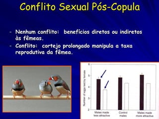 Conflito Sexual Pós-Copula

– Nenhum conflito: benefícios diretos ou indiretos
  às fêmeas.
– Conflito: cortejo prolongado manipula a taxa
  reprodutiva da fêmea.

                                    swallows


                                    finches
 