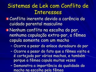 Sistemas de Lek com Conflito de
          Interesses
Conflito inerente devido a carência do
cuidado parental masculino
Nenhum conflito na escolha do par,
nenhuma copulação extra-par, a fêmea
copula somente com um macho
 – Ocorre a pesar do enlace duradouro do par
 – Ocorre a pesar do fato que a fêmea visita e
   é cortejada por vários machos, e também
   porque a fêmea copula muitas vezes
 – Demonstra a importância da qualidade do
   macho na escolha pela fêmea
 