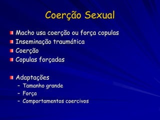 Coerção Sexual
Macho usa coerção ou força copulas
Inseminação traumática
Coerção
Copulas forçadas

Adaptações
– Tamanho grande
– Força
– Comportamentos coercivos
 