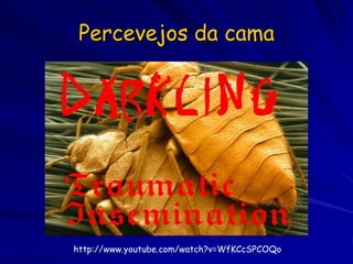 Percevejos da cama




http://www.youtube.com/watch?v=WfKCcSPCOQo
 