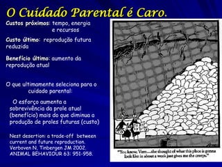 O Cuidado Parental é Caro.
Custos próximos: tempo, energia
                 e recursos
Custo último: reprodução futura
reduzida

Benefício último: aumento da
reprodução atual


O que ultimamente seleciona para o
        cuidado parental:
  O esforço aumenta a
 sobrevivência da prole atual
 (benefício) mais do que diminua a
 produção de proles futuras (custo)

 Nest desertion: a trade-off between
 current and future reproduction.
 Verboven N, Tinbergen JM 2002.
 ANIMAL BEHAVIOUR 63: 951-958.
 