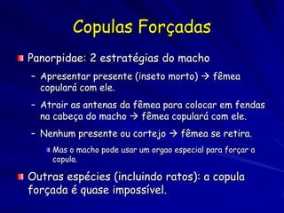 Copulas Forçadas
Panorpidae: 2 estratégias do macho
– Apresentar presente (inseto morto)  fêmea
  copulará com ele.
– Atrair as antenas da fêmea para colocar em fendas
  na cabeça do macho  fêmea copulará com ele.
– Nenhum presente ou cortejo  fêmea se retira.
    Mas o macho pode usar um orgao especial para forçar a
    copula.

Outras espécies (incluindo ratos): a copula
forçada é quase impossível.
 