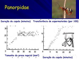 Panorpidae

Duração da copula (minutos)   Transferência de espermatoides (por 100)




   Tamanho da presa nupcial (mm2)
                                      Duração da copula (minutos)
 
