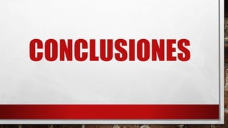 CONCLUSIONES
 